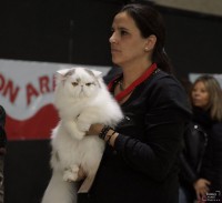 /album/fotogaleria-exposiciones3/a12790880-10208771449343583-2913900423284745316-n-1-jpg/